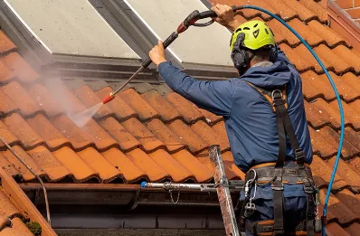 Démoussage et hydrofuge de toiture à Perrouse